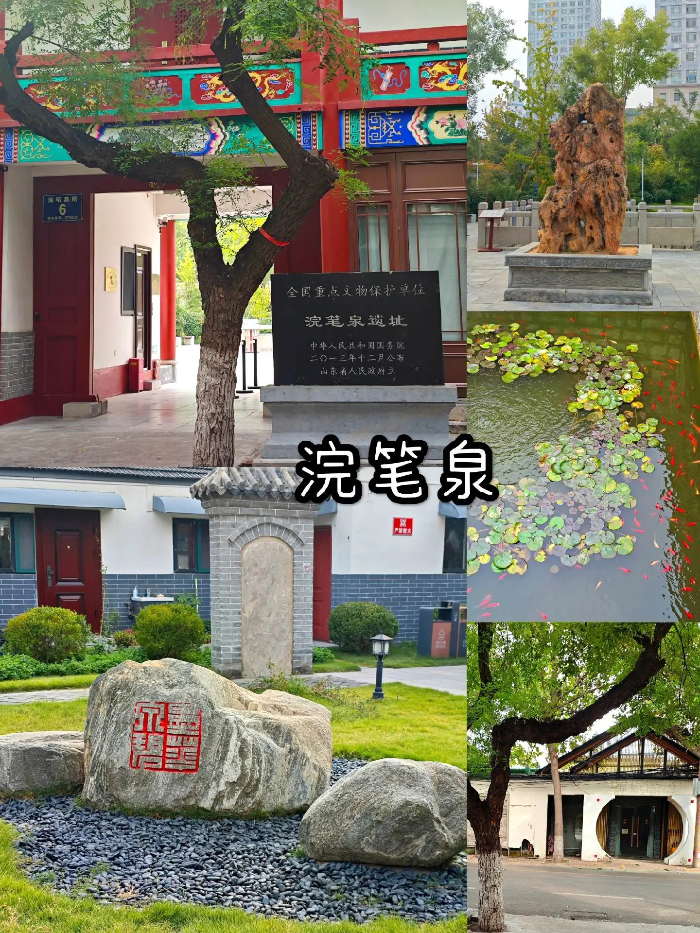 82331781786111.webp