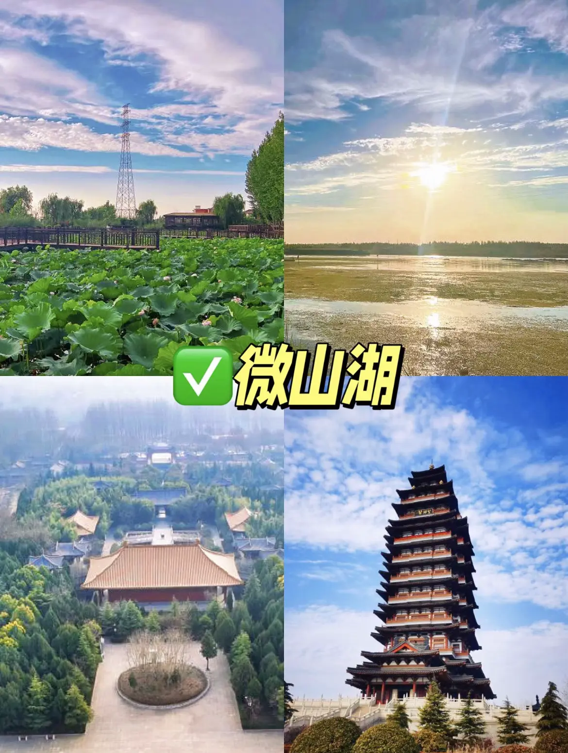 87a21781785681.webp