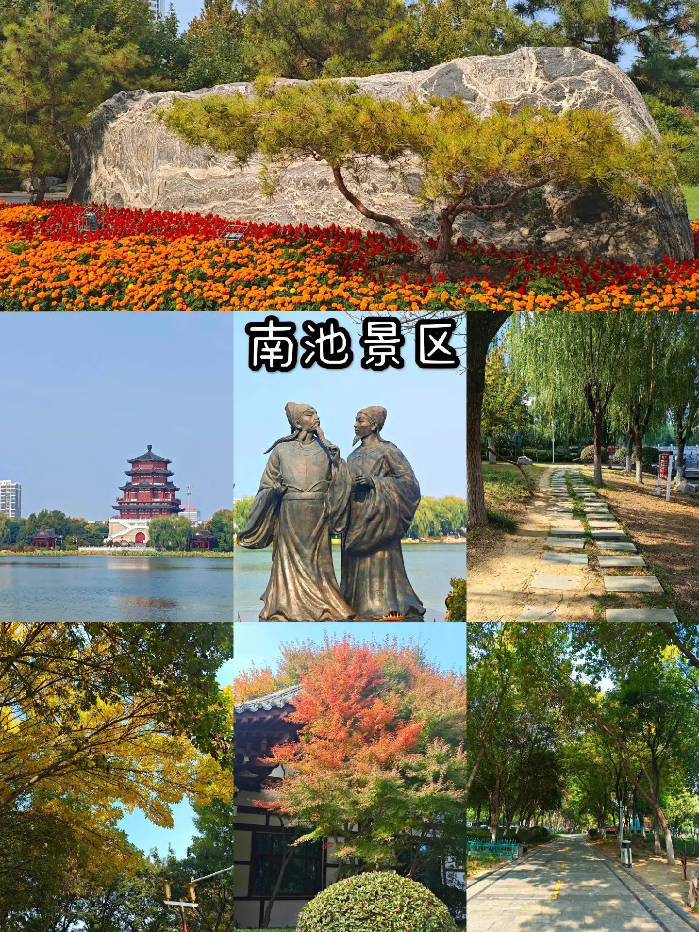 b6c71781785681.webp