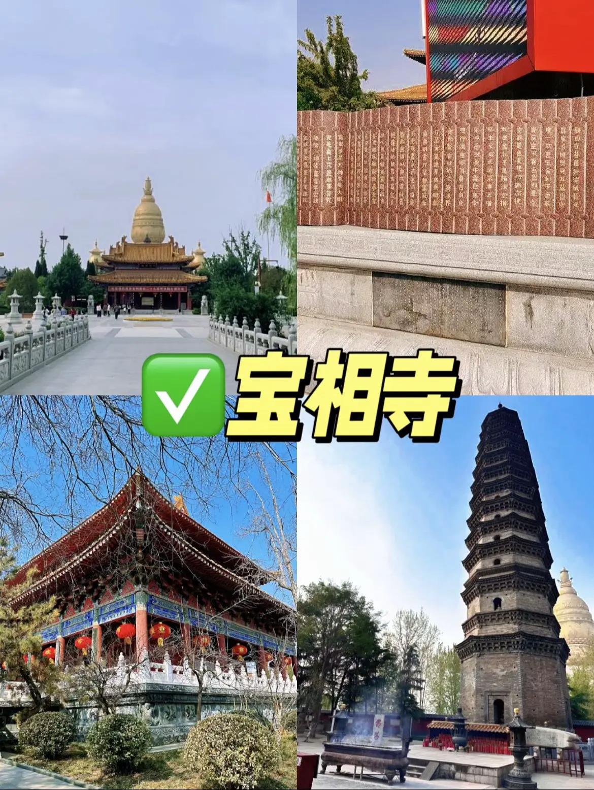 d3b41781785681.webp